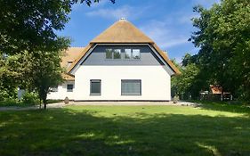 Vakantiehuizen Texel